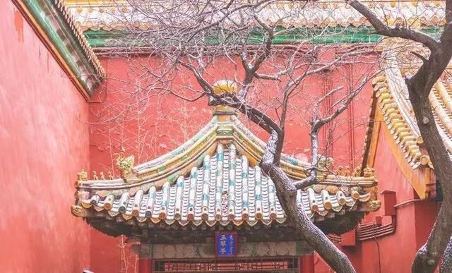 有一种美，叫雪后的中国