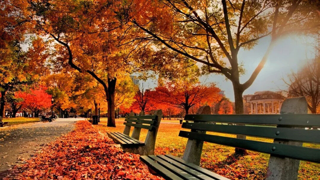 最美金秋季，你最想去哪里？