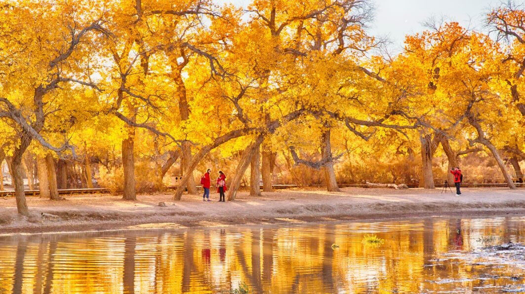 额济纳胡杨林，中国最美的秋色，错过再等一年！