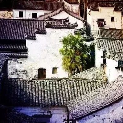 只有1%人才知道的浙江小小村镇，夏天却古朴浪漫得不像话！
