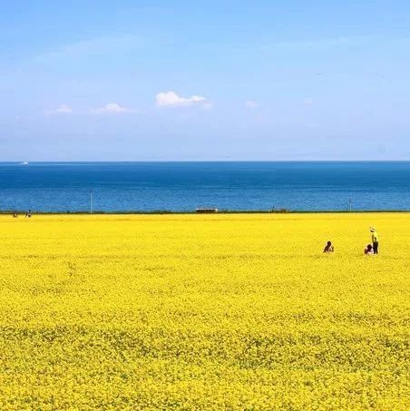 中国夏天最美的8个湖泊，此生必去。