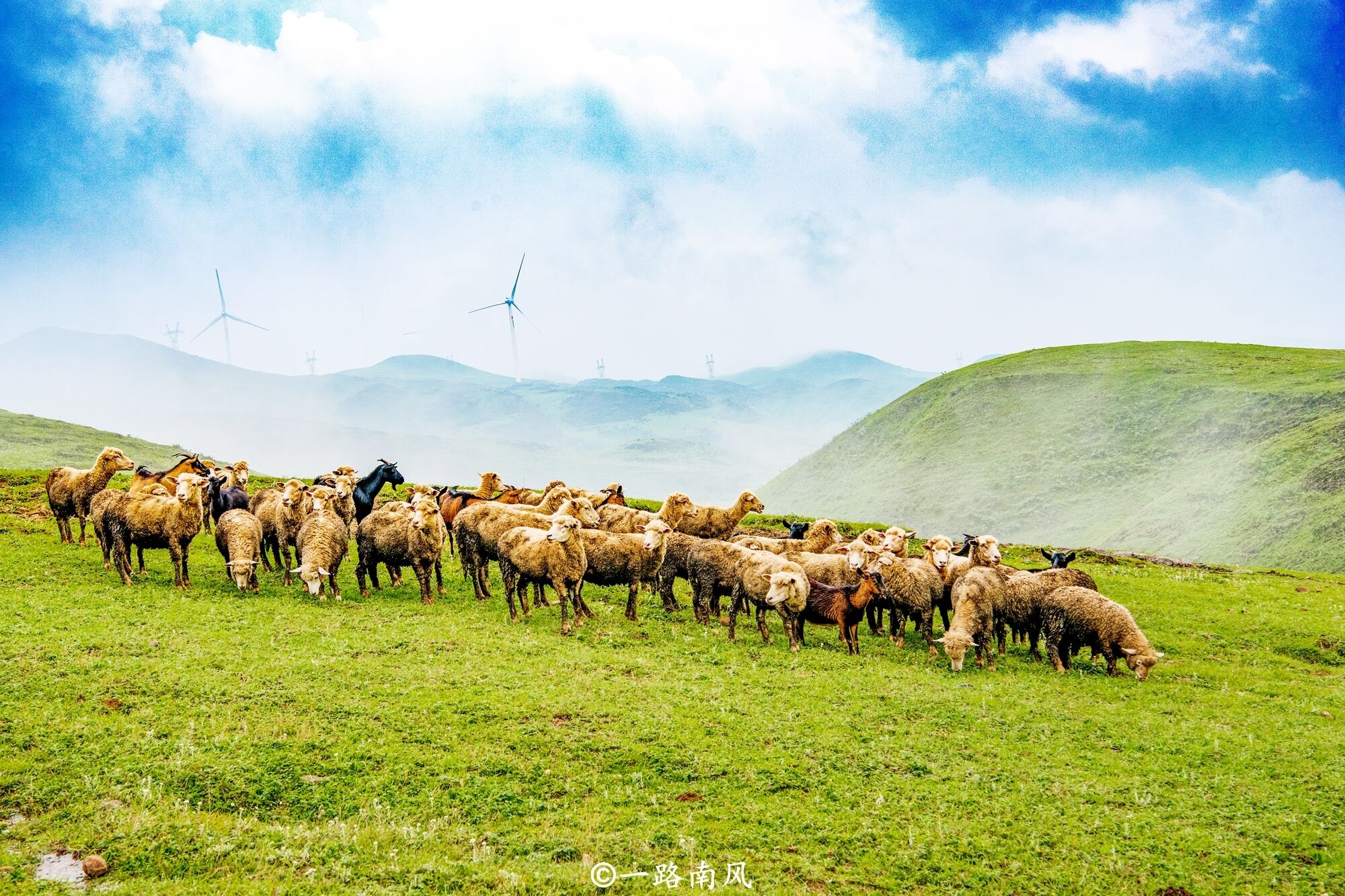 贵州最特别的旅游城市，夏季平均气温仅19.7℃，空调都卖不出去！