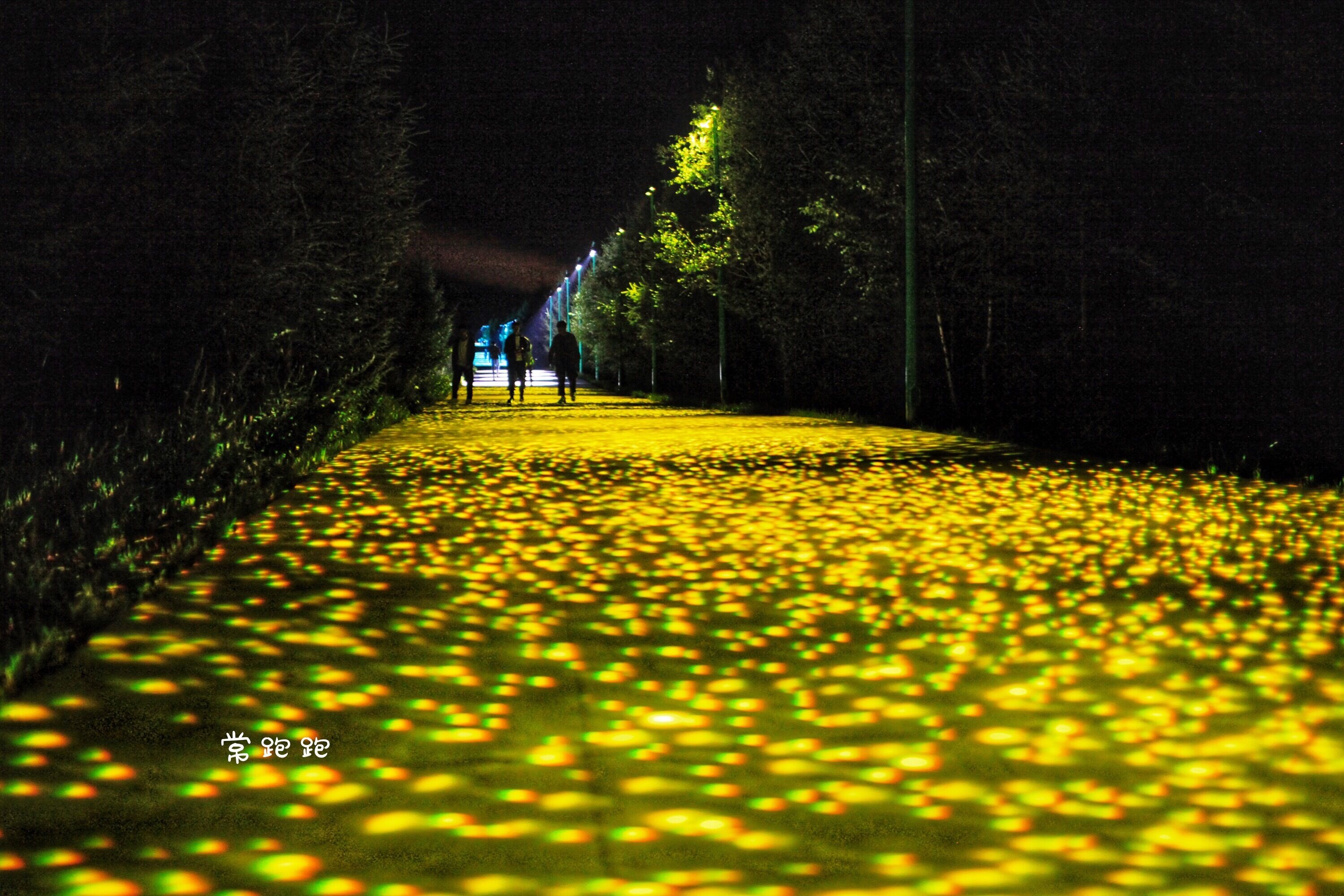 去七彩森林 赴一场儿时与童话的秘密约定