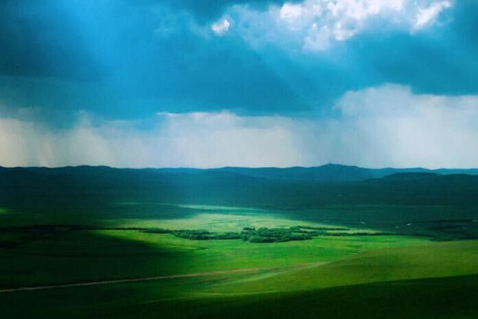 去《狼图腾》的草原上，寻找狼王