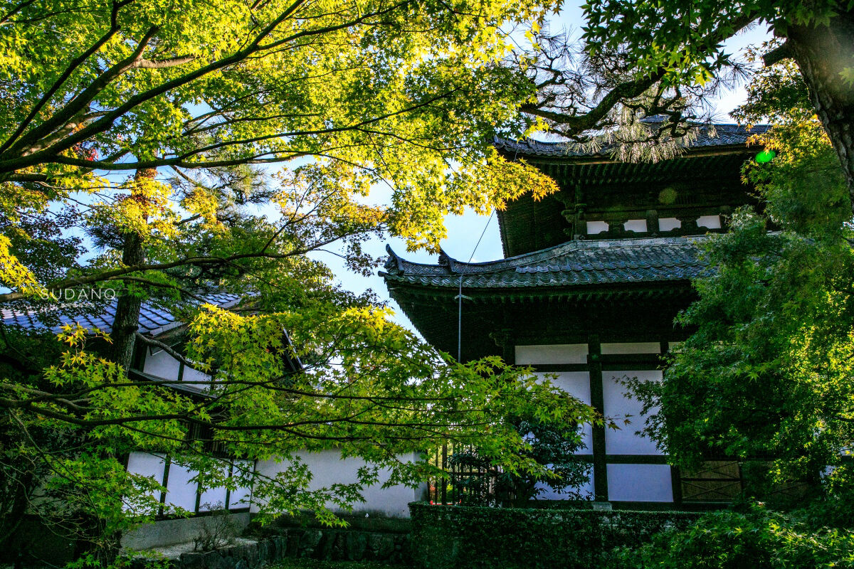 他是中国泰斗级人物，从未去过日本，却被日本人纪念了700余年