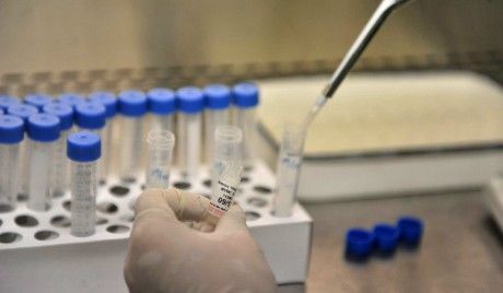 北京新增10例新型冠状病毒感染的肺炎病例
