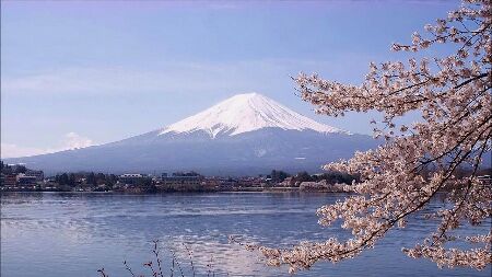 日本计划将新型肺炎认定为&ldquo;指定感染症&rdquo;不分国籍公费治疗