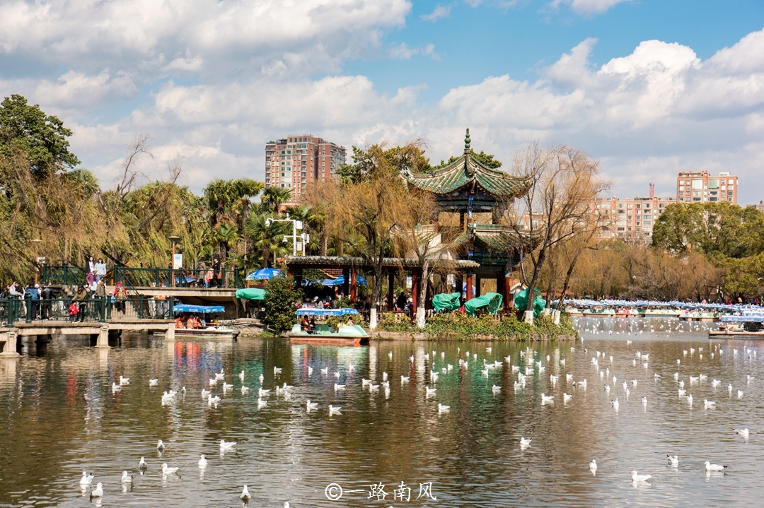 这座省会明明位于内陆高原，却像海滨城市，就在云南！