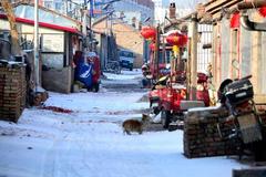 儿媳怀孕36周行动不便，婆婆步步紧逼：今年不回老家就离婚