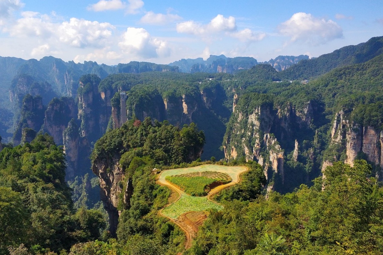张家界藏着一个空中田园，建在千米的山顶之上，四周全是悬崖