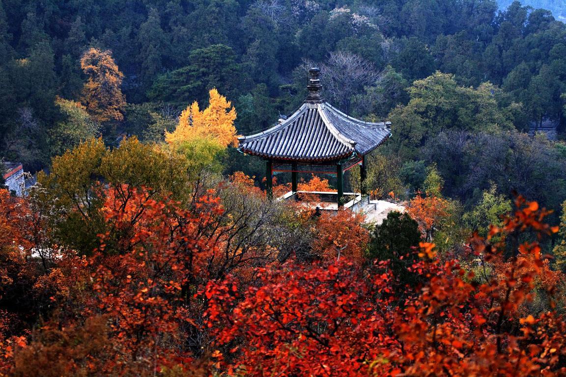 南京景区免费向医务人员开放，网友大力支持：其他城市来抄作业