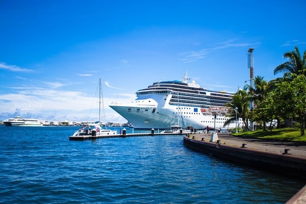 钻石公主号变“恐怖邮轮”，疫情之后，你会考虑来一场邮轮旅行吗