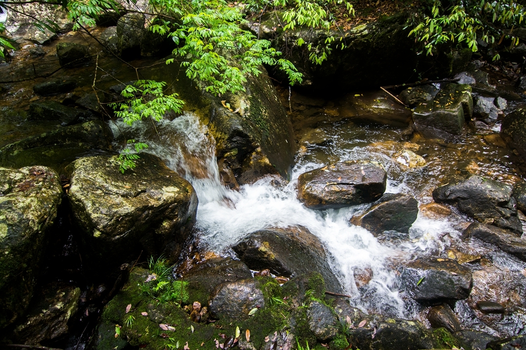 广西有座世界长寿市，就在桂林旁边，山水秀美游客不多