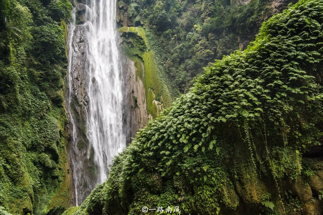 广西有个巨大天坑，存在大量史前生物，传说洞内藏着十八担黄金
