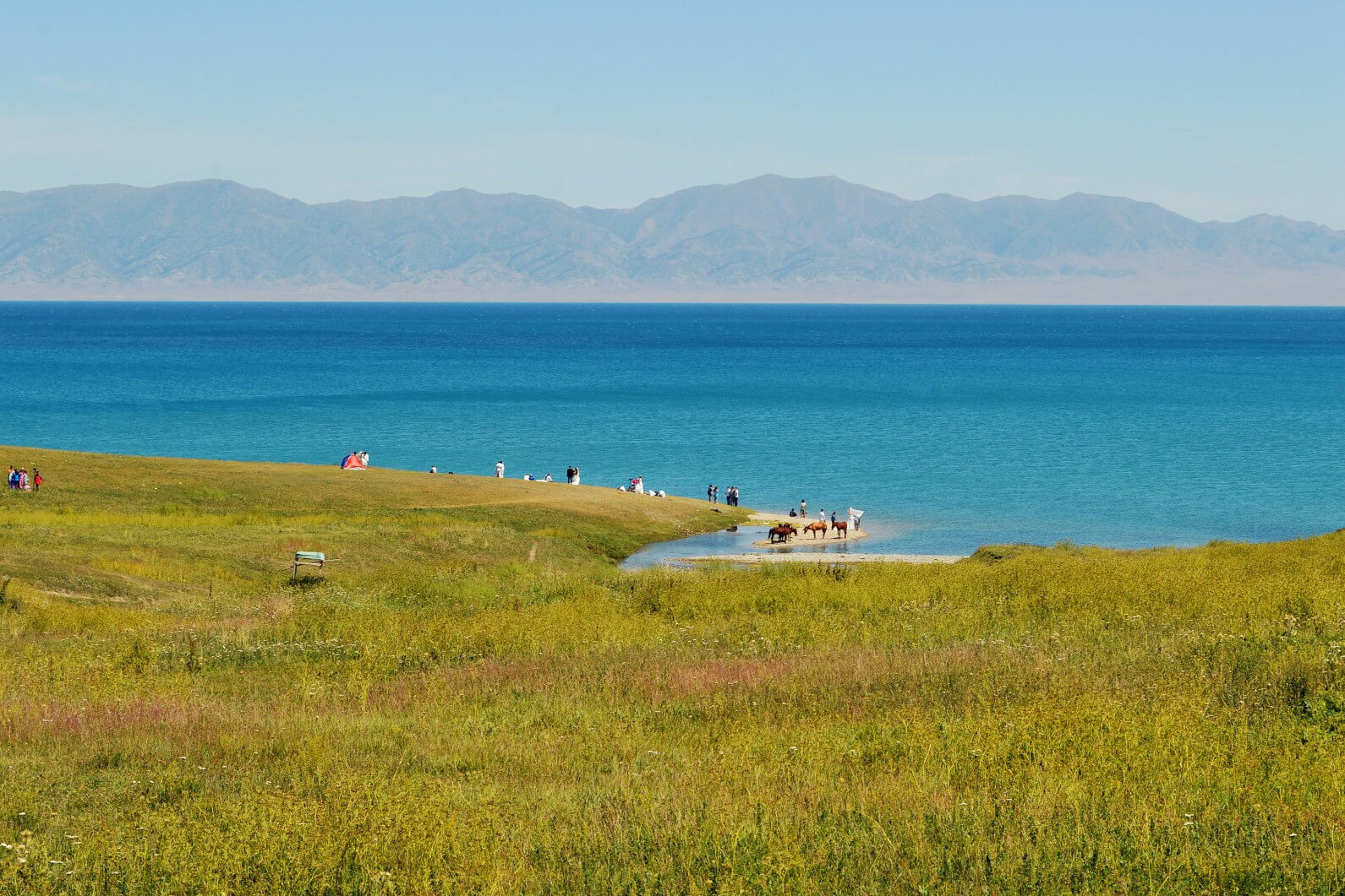 新疆最神奇的湖泊，深藏在沙漠中，游客：湖水从哪里来？ 