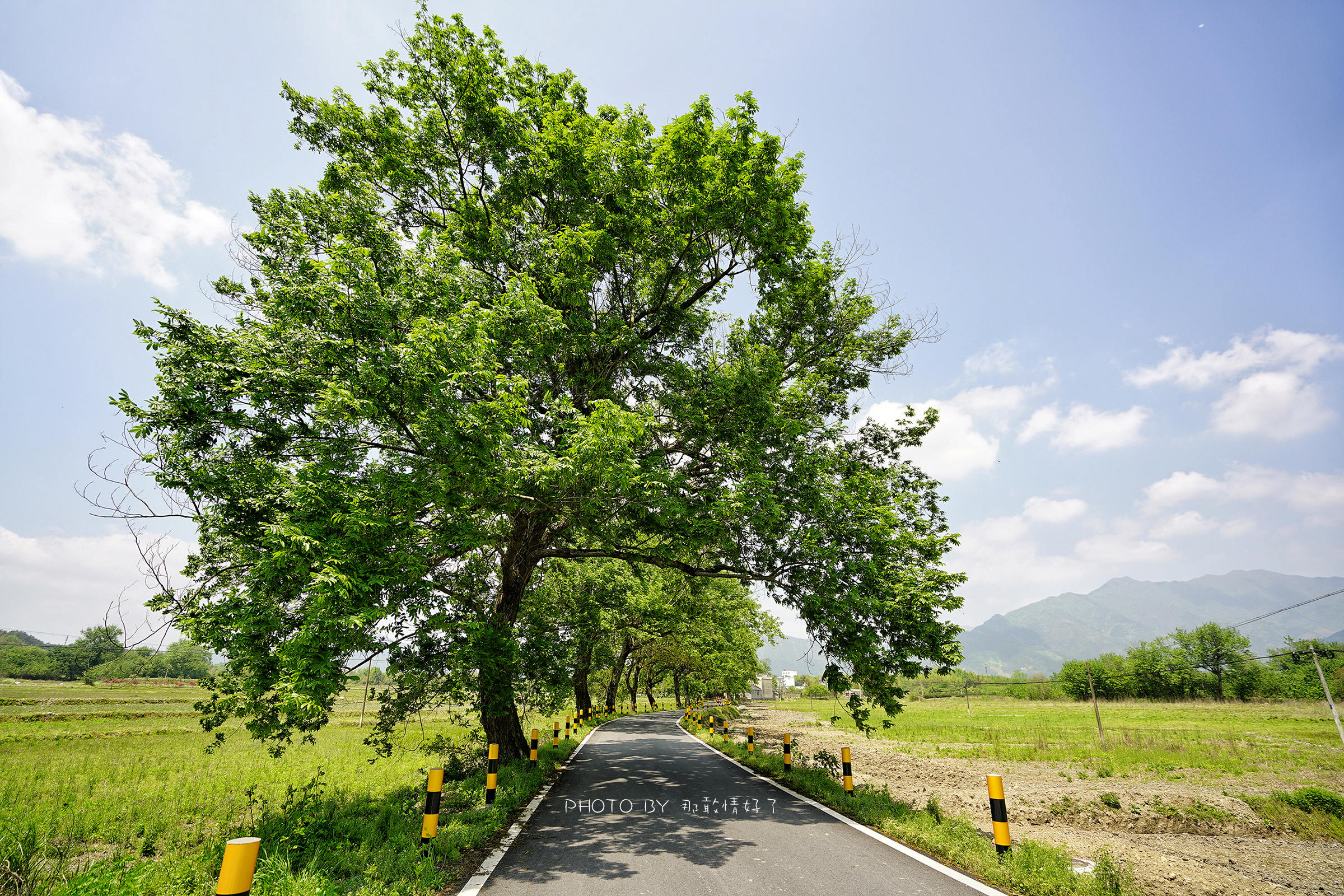 黄山有一个桃源小村，美得想私藏给自己，不想让任何人知道