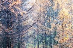 西北最值得去的景区，是“沙漠中的绿洲”，古代修仙的人都住在这