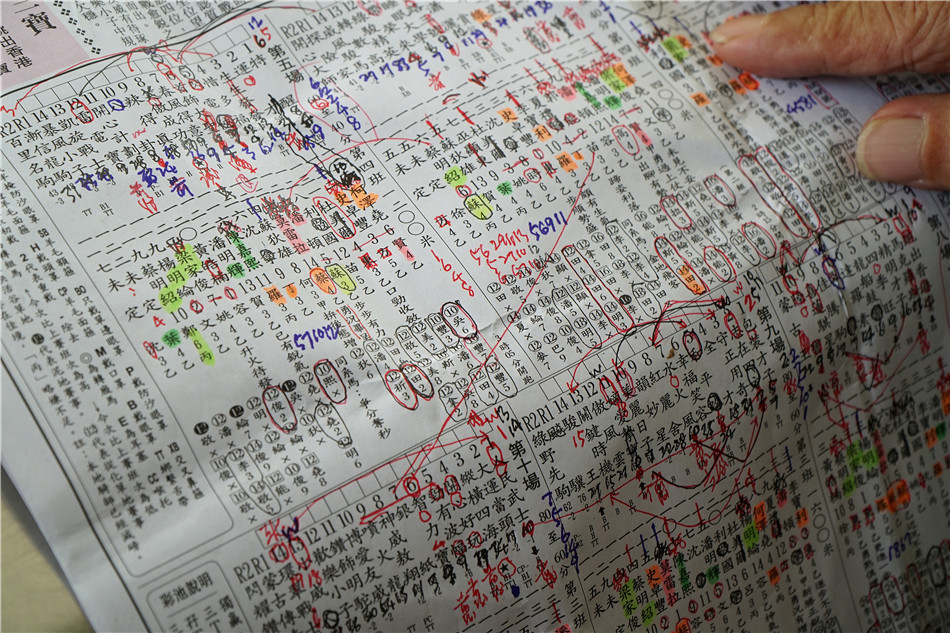 香港：赛马博彩，港岛旅游独特而醒目的元素