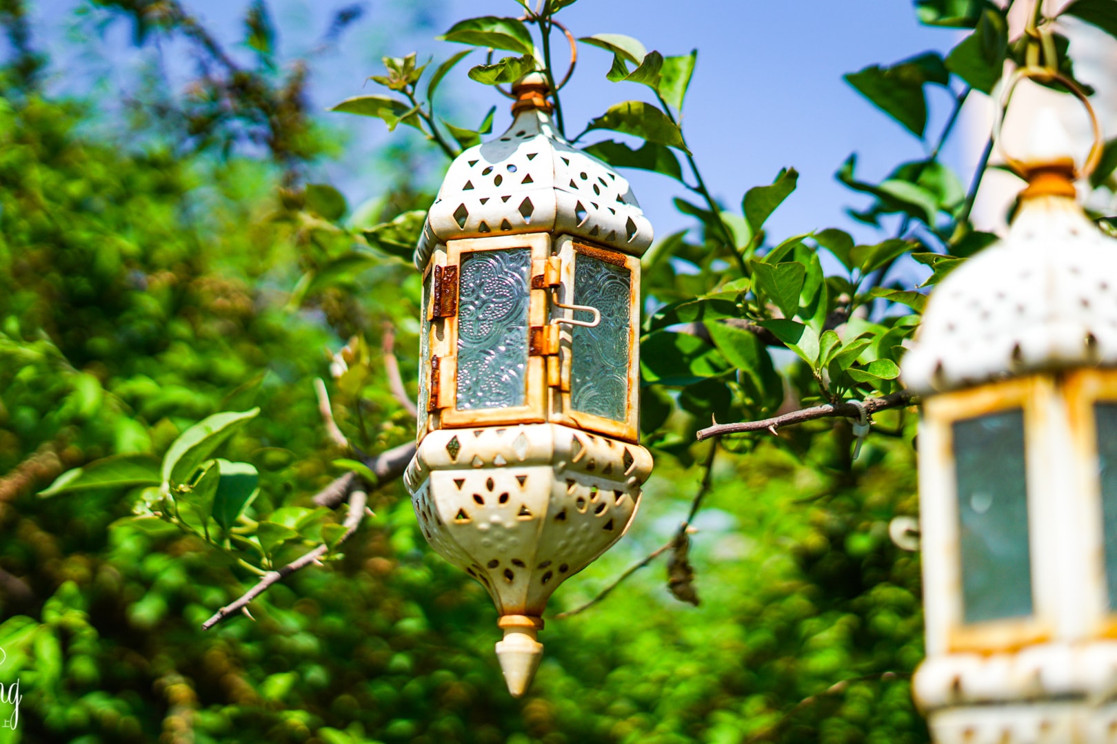 魔都上海的浪漫，在水泥森林上空，为爱花人造一座精神花园