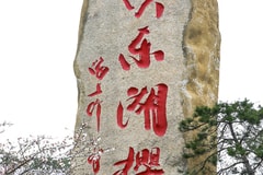 那年的武汉东湖樱花，如期而至，我会一直等你到能约为止