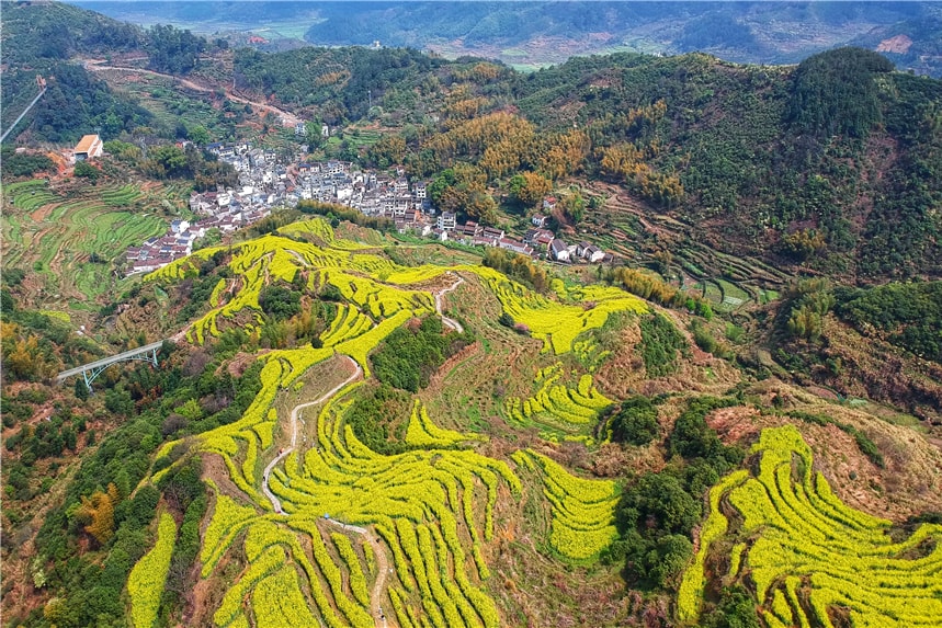 中国最美的春天在婺源，流动的清明上河图里，10万亩油菜花盛放