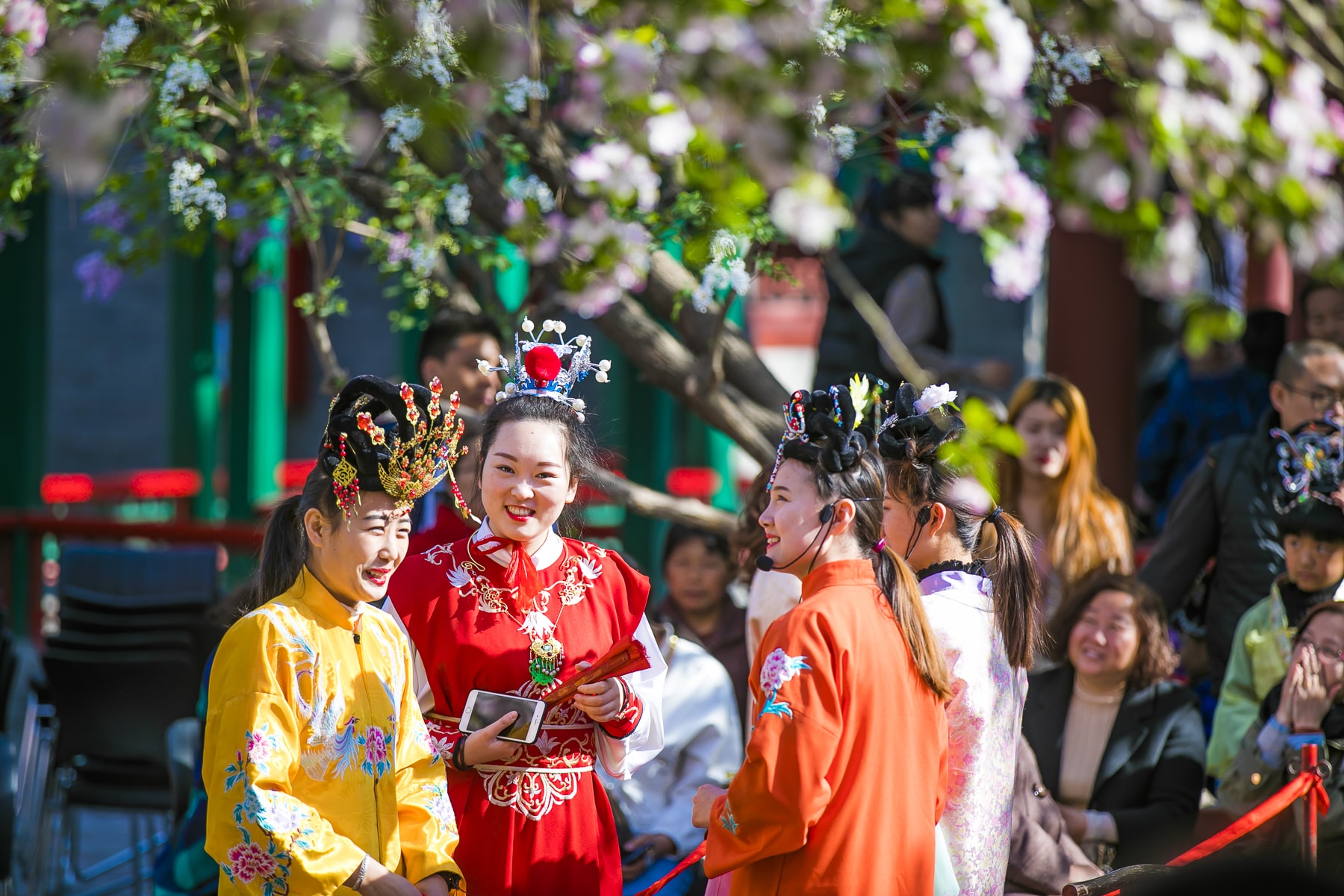 河北最美的4个赏花地，2000亩花海姹紫嫣红，犹如一场诗意的梦