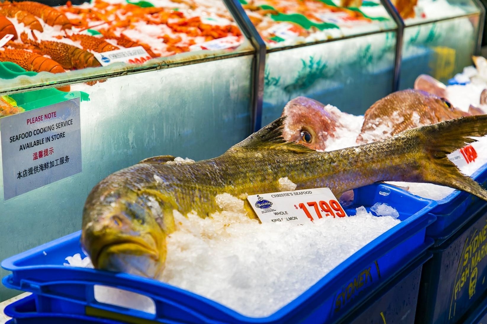 实拍澳洲唯一、南半球最大的海鲜交易市场，虾蟹生猛，让吃货尖叫
