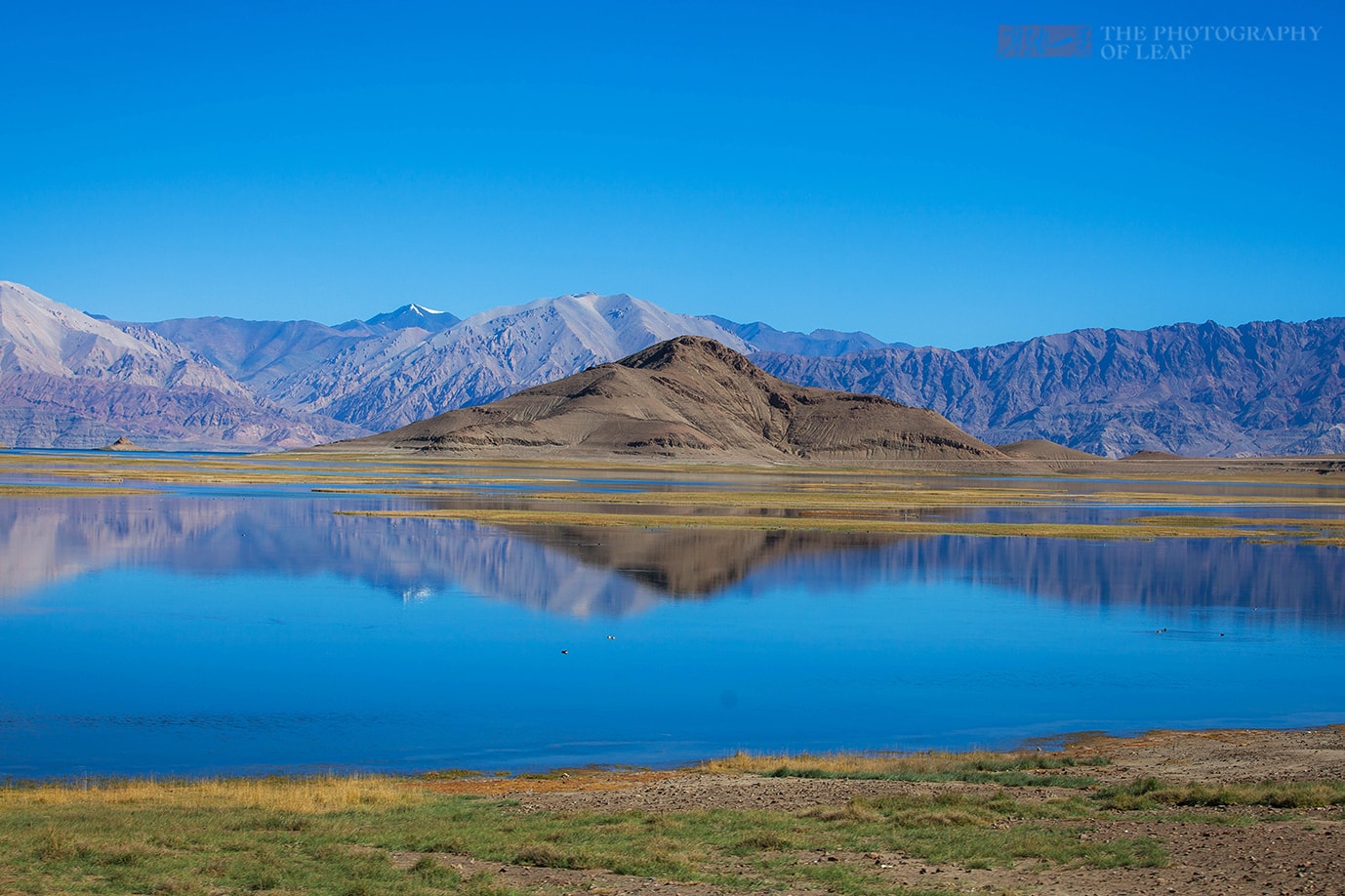 新藏线一个“偏心”的湖，中国是淡水印度是咸水，让印度羡慕不已