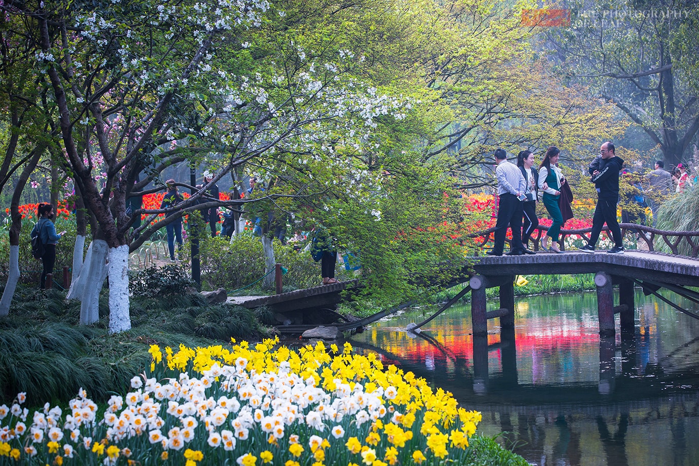 3月杭州西湖最美景点，游客千里迢迢赶来却进不去，是什么情况？