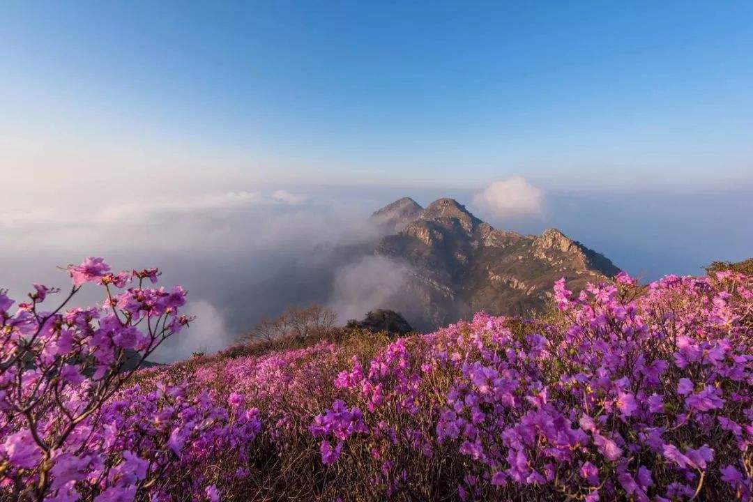 辽宁有5座同名的山峰，被称为五胞胎，许多游客来了几次都分不清 