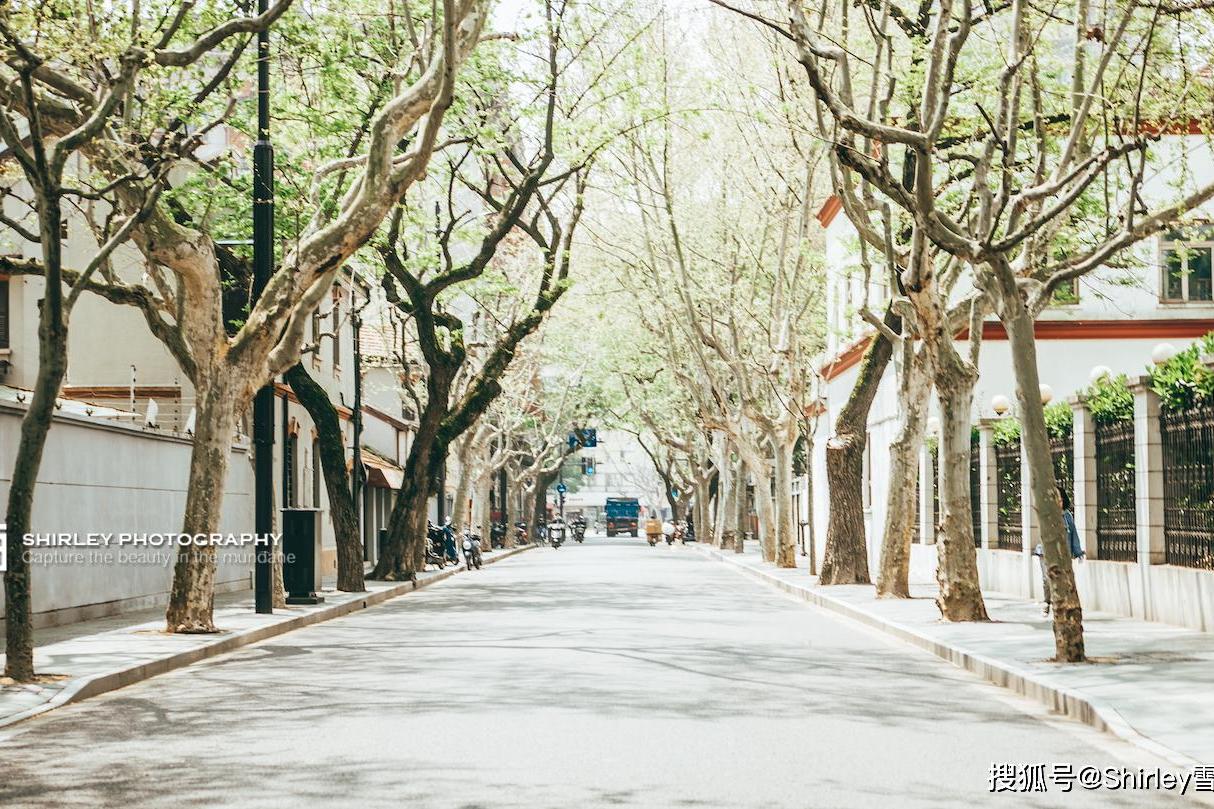 外地游客最爱上海这条路！平均每隔10米就是一栋老洋房，上海的精华都在这了
