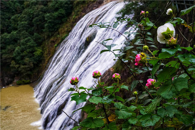 福建最美瀑布，隐藏在宁德峡谷中，气势磅礴，可与黄果树瀑布媲美
