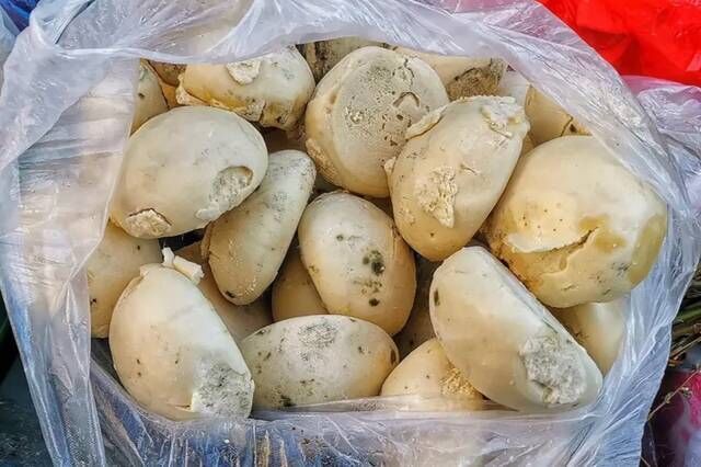 春天了，馒头直接放冰箱冷藏就错了，记住2个窍门，久放不发霉