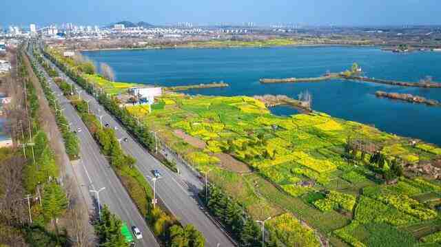 记得收藏，淮南完整版春季赏花攻略来了，错过要再等一年