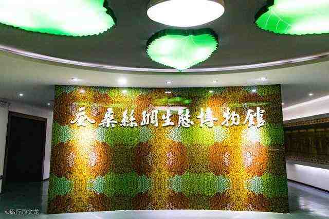 南昌县的凤凰沟，原来还有个江西蚕桑丝绸生态博物馆，值得一去