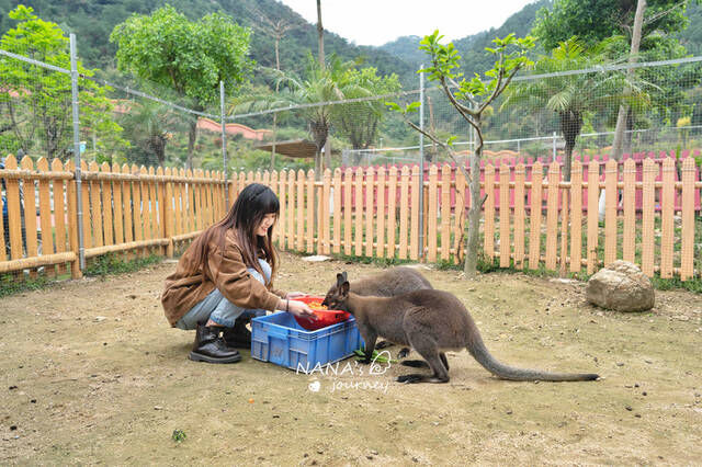 广州附近这个动物园，可亲近动物喂食，体会大自然的乐趣