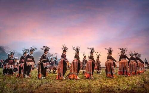 丹寨春茶已出！丹寨春耕大典致敬“耕耘者”