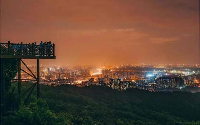 名木、神鸟、雪山…… 绘就公园城市的“生态密码”