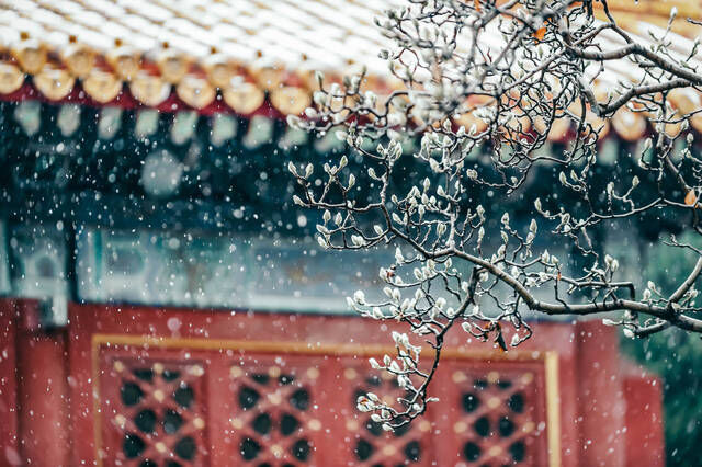 2020北京冬天的第一场雪！2元门票就能拍红墙白雪大片！