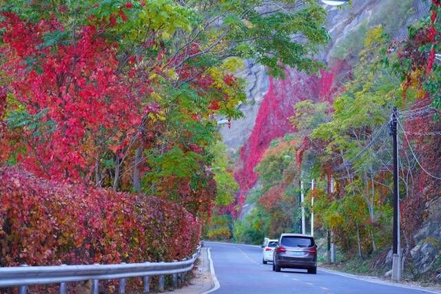 清凉谷10月20日起免费玩，京郊赏秋最当时