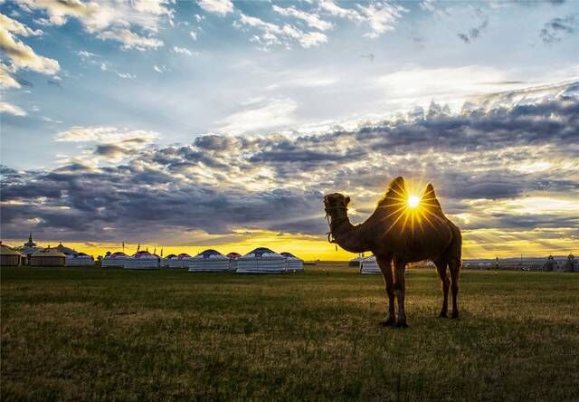 这个暑假相约天堂般的乌珠穆沁草原，体验草原宫殿，蒙古汗城的美