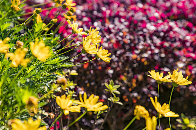 中国最适合旅居养老的4个城市，物价低节奏慢，风光优美又安逸