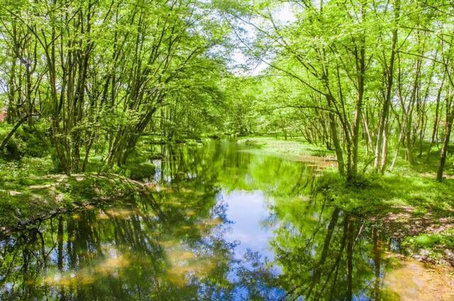 五一旅行好去处：黄山西溪南湿地，是安徽的“世外桃源”！