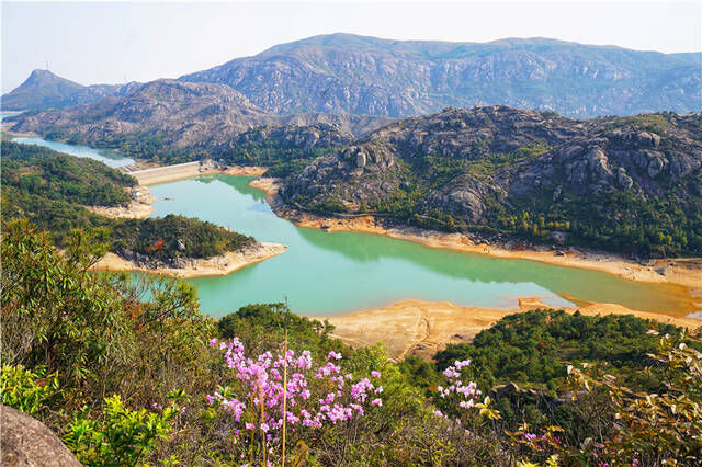 浙江温州藏着一个小众旅游景点，春天漫山遍野杜鹃花开，美如仙境
