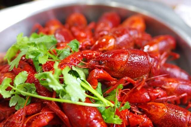 只做三道菜，每年歇半年，相忘不如相濡以沫，带你探个江湖夜店