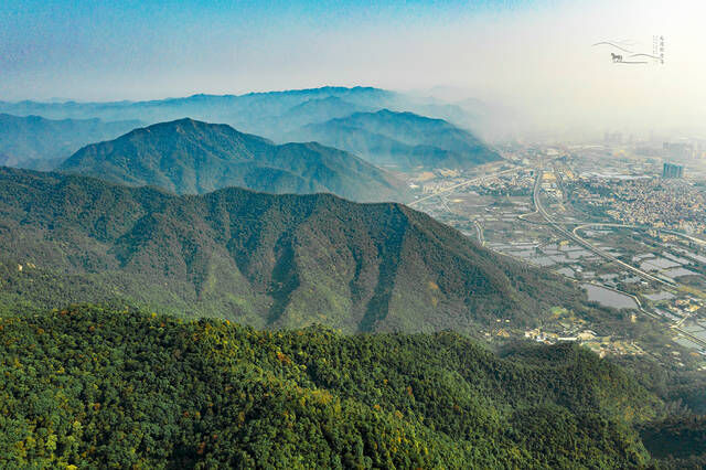 肇庆紧邻广州，却少有存在感，这座国家公园更少有外人关注