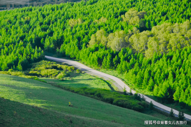 高考结束去哪儿玩？来大草原避暑赏花，享17度冰爽毕业旅行