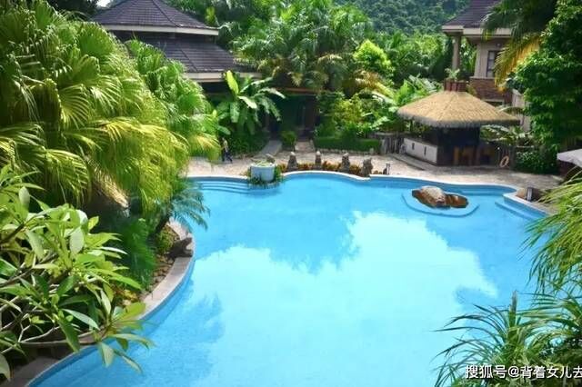 为什么北方人跑到海南过冬？天气暖空气好，海鲜吃到饱