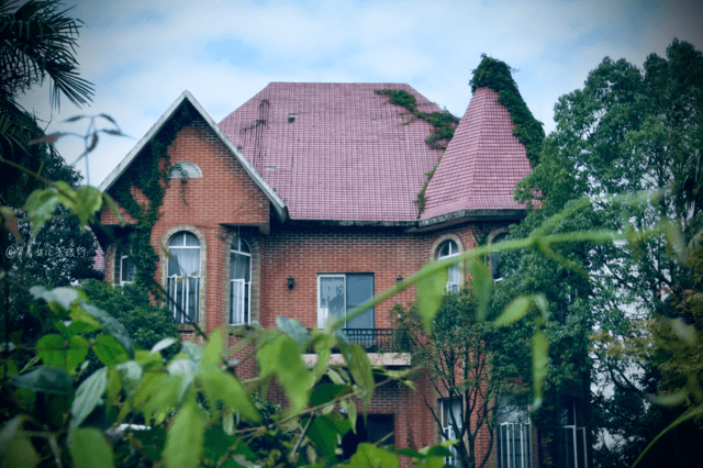 千万豪宅变“鬼屋”，损失几亿元，网友：白给我都不敢住