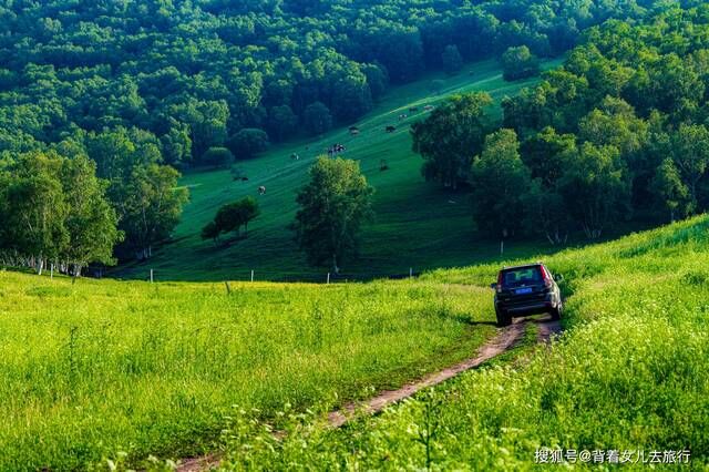 17度草原爽一夏！京郊避暑自驾游好去处，京北第一天路